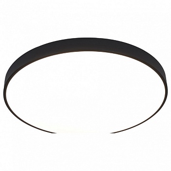 Накладной светильник Arte Lamp Arena A2673PL-1BK