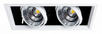 Встраиваемый светильник Arte Lamp Merga A8450PL-2WH