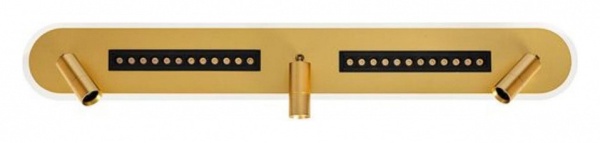 Спот Arte Lamp Pisces A2220PL-3GO