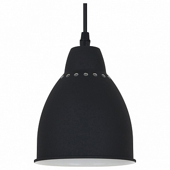 Подвесной светильник Arte Lamp Braccio A2054SP-1BK