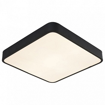 Накладной светильник Arte Lamp Scena A2663PL-1BK