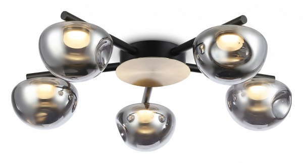Потолочная люстра Ambrella Light LH LH12009
