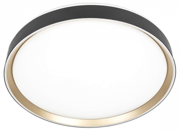 Накладной светильник Citilux BOSS CL751451G