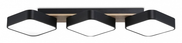 Накладной светильник Ambrella Light FL FL4878