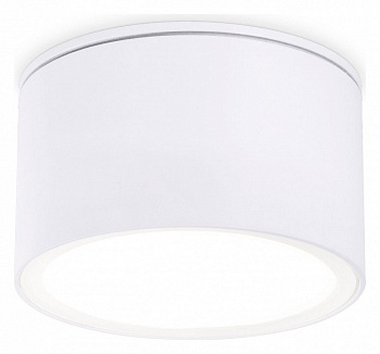 Накладной светильник Ambrella Light TN TN6522