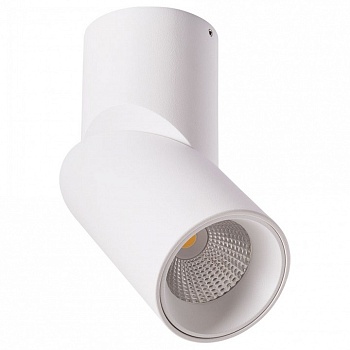Накладной светильник Arte Lamp Meisu A7717PL-1WH