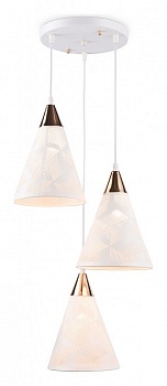 Подвесной светильник Ambrella Light TR TR8433
