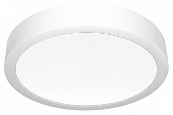 Накладной светильник Citilux Галс CL5516N